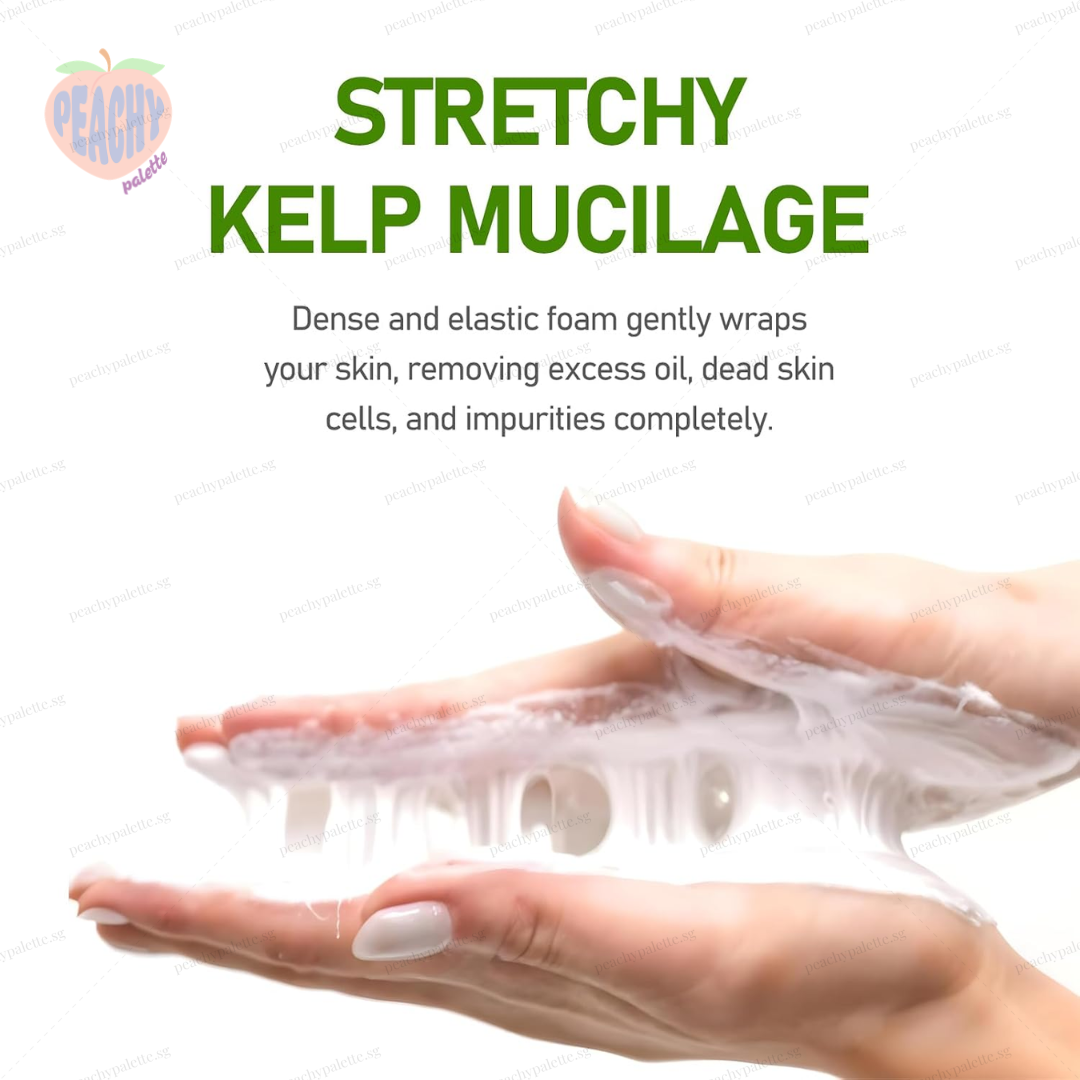 [ShionLe] Laminaria Ampoule Cleansing Foam | Deep Cleansing Foam Sebum Care Dense Foam Cleanser