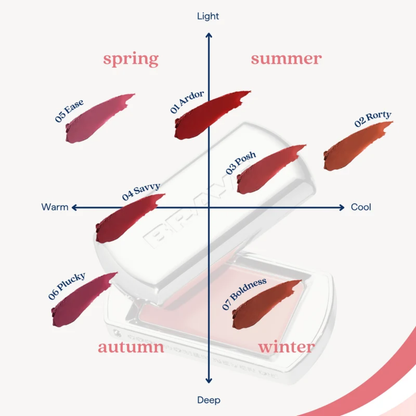BRAYE Lipsleek - Glossy Non-Sticky Lip and Cheek